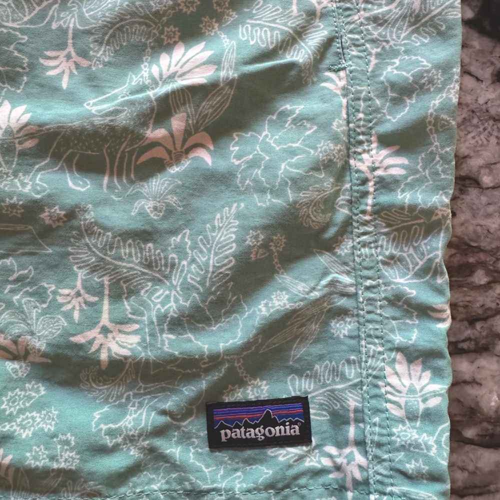 Patagonia Shorts